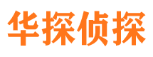 将乐市侦探